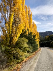 客户Zhang**上传的图片