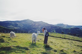 客户Xiao**上传的图片