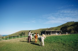 客户Xiao**上传的图片