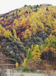 客户Xiao**上传的图片